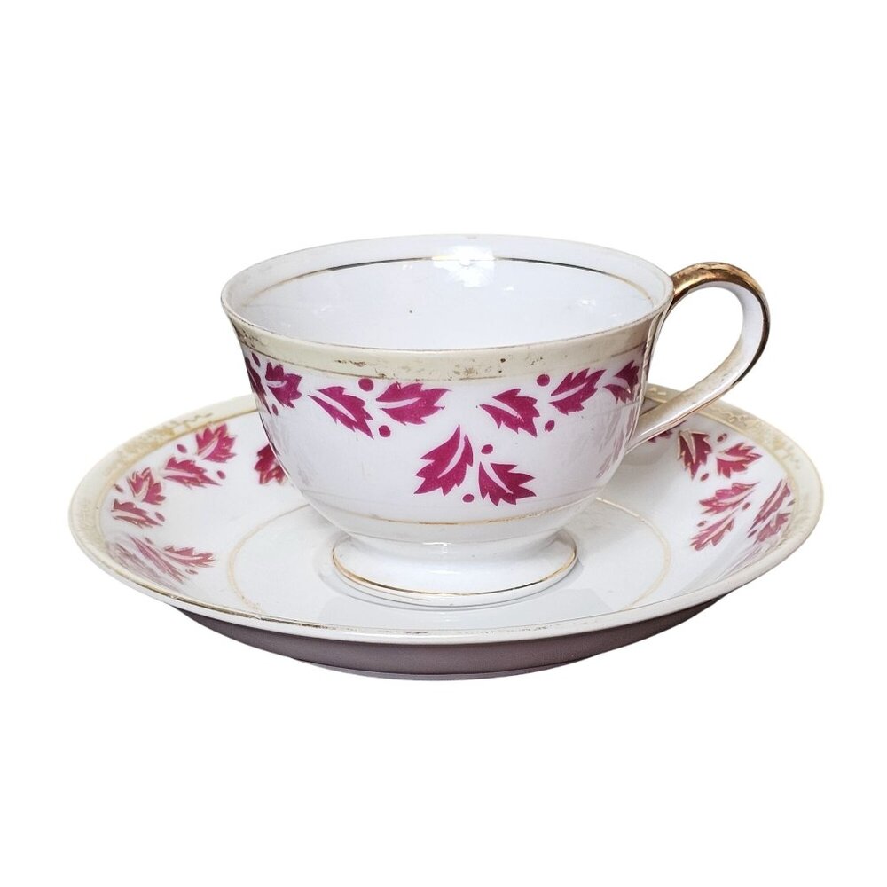 Ucagco China Vintage Tea Cup Saucer Set Pink Foliage Leaf Design Occupied Japan